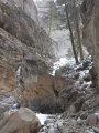 ../thumbnails/160-DSCN2603.JPG.small.jpeg