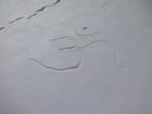image DSC01090.JPG