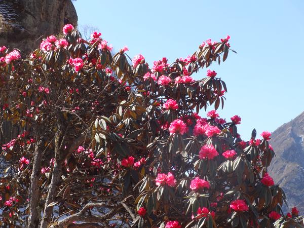 image DSC01640.JPG