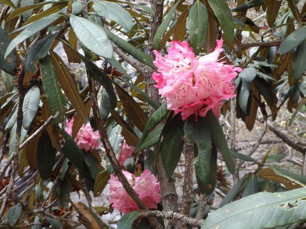 image DSC01669.JPG