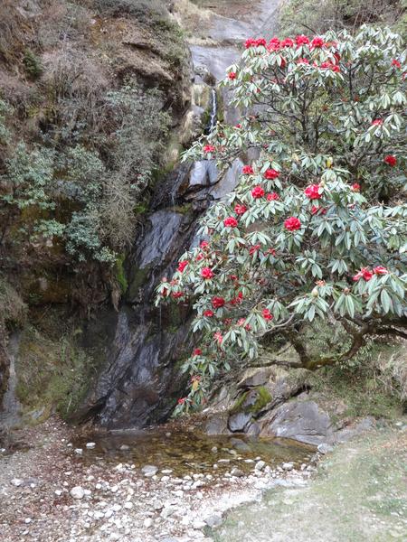 image DSC01673.JPG