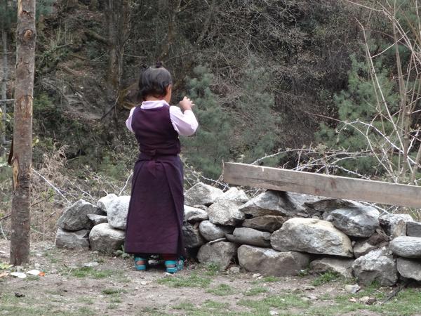image DSC01680.JPG