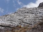 image DSC01627.JPG