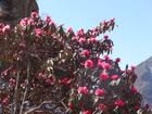 image DSC01640.JPG