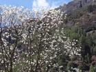 image DSC01658.JPG