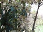 image DSC01661.JPG