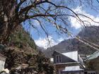 image DSC01664.JPG