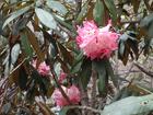 image DSC01669.JPG