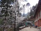 image DSC01671.JPG