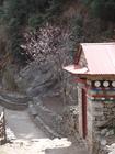 image DSC01672.JPG