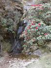 image DSC01673.JPG