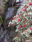 image DSC01674.JPG