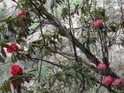 image DSC01685.JPG