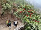 image DSC01689.JPG