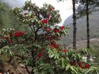 image DSC01690.JPG