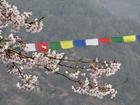 image DSC01693.JPG