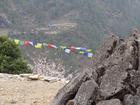 image DSC01694.JPG