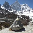 image SAM_0957.JPG