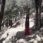 image SAM_0971.JPG