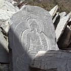 image SAM_0974.JPG