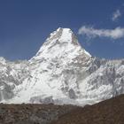 image SAM_0983.JPG