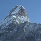 image SAM_0985.JPG