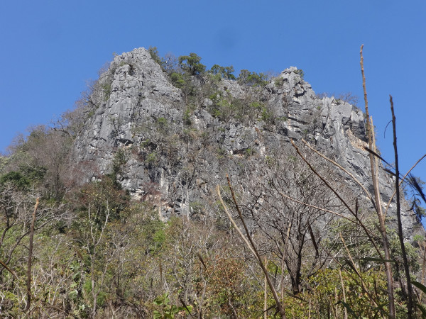 image DSC05977.JPG