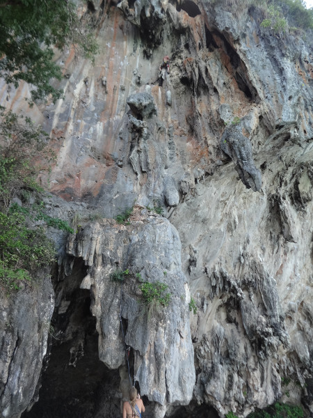 image DSC06097.JPG