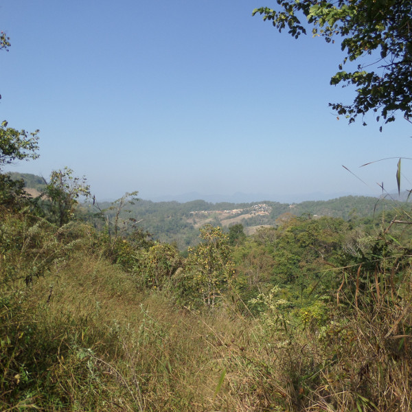 image SAM_1580.JPG
