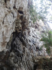 image DSC06049.JPG
