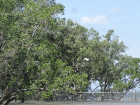 image DSC06077.JPG