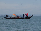 image DSC06083.JPG