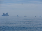 image DSC06090.JPG