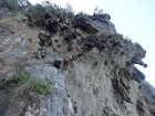 image DSC06100.JPG
