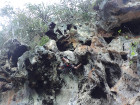 image DSC06104.JPG