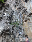 image DSC06133.JPG