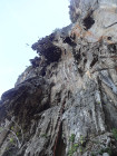 image DSC06134.JPG