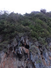 image DSC06180.JPG