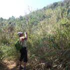 image SAM_1581.JPG