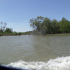 image SAM_1607.JPG