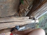 ../thumbnails/191-DSC06369.JPG.small.jpeg