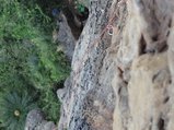 ../thumbnails/205-DSC06390.JPG.small.jpeg