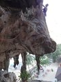 ../thumbnails/240-DSC06431.JPG.small.jpeg