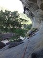 ../thumbnails/241-DSC06432.JPG.small.jpeg