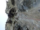 ../thumbnails/244-DSC06435.JPG.small.jpeg