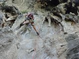 ../thumbnails/245-DSC06436.JPG.small.jpeg