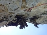 ../thumbnails/249-DSC06442.JPG.small.jpeg