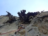 ../thumbnails/253-DSC06446.JPG.small.jpeg