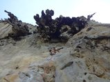 ../thumbnails/255-DSC06448.JPG.small.jpeg