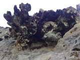 ../thumbnails/256-DSC06450.JPG.small.jpeg